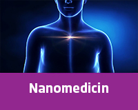 Nanomedicin