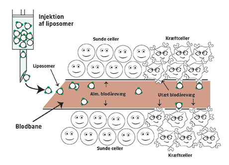 Kræftcelle injektion