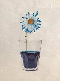 Blomst