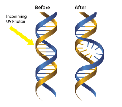 Solcreme Nanotech