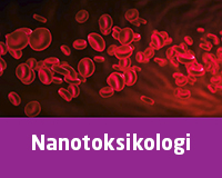 Nanoteknologi